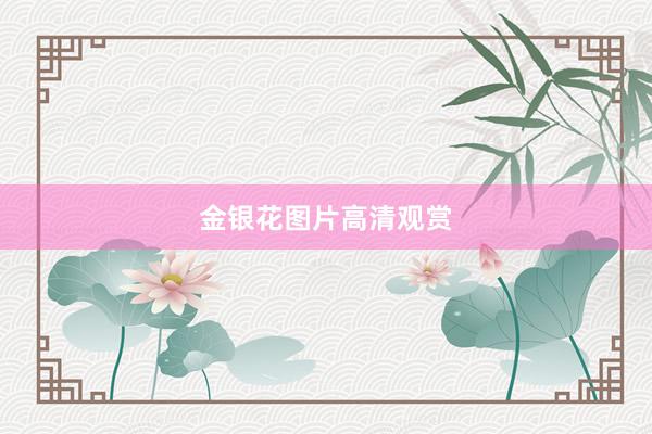 金银花图片高清观赏