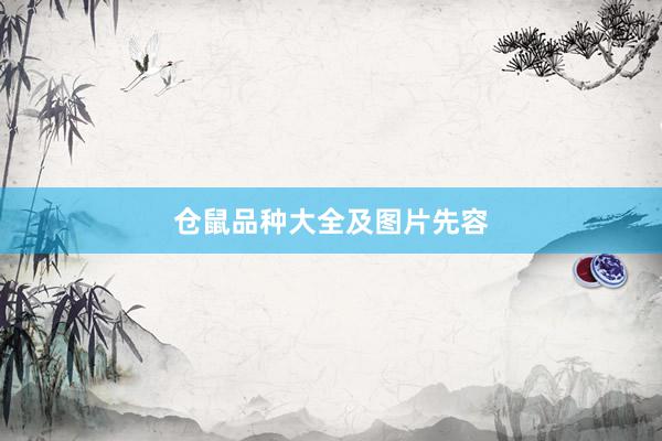 仓鼠品种大全及图片先容