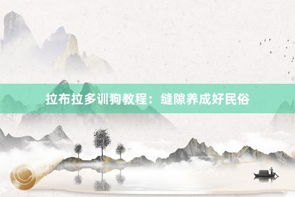 拉布拉多训狗教程：缝隙养成好民俗
